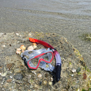 Set de snorkeling 2 componente pentru adulți "Fiji" Schildkröt - 940012 - Img 3