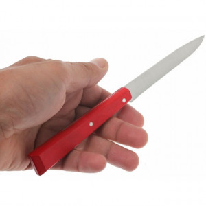 Set Opinel pentru Friptura, 4 cutite lama 10.7cm - 001534 4