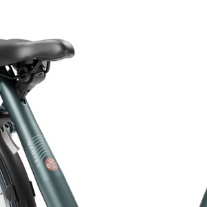 Bicicleta Electrica Stella Nantes FDST ISP RTE 2.1 - 28 Inch, M, Gri - Img 4