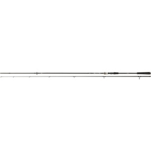 Lanseta Spinnning Daiwa Exceler 2.70m 10-40g