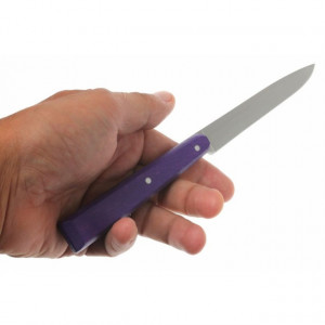 Set Opinel pentru Friptura, 4 cutite, 11cm - 001532 3