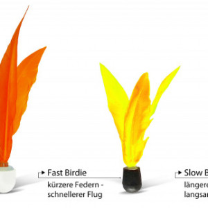 Set Schildkröt Jazzminton 2 palete + fluturasi - 970155 fluturasi