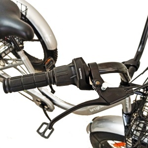 Tricicletă adulți BR Pro2025, 20", 7 viteze, frâne pe disc, cadru din oțel 15", negru - Img 7
