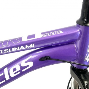 Bicicleta BR TSUNAMI PRO2025 26", 21 viteze, frane pe disc, cadru otel 15", manete secventiale, violet - Img 3