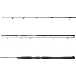 Lanseta Somn Daiwa Powermesh Catfish Boje 2.70m 150-400g