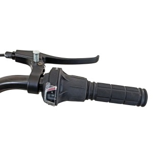 Tricicletă adulți BR Pro2025, 20", 7 viteze, frâne pe disc, cadru din oțel 15", gri - Img 8