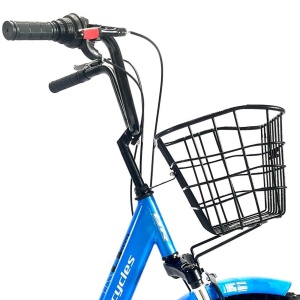Tricicletă adulți BR Pro2025, 20", 7 viteze, frâne pe disc, cadru din oțel 15", albastru - Img 12