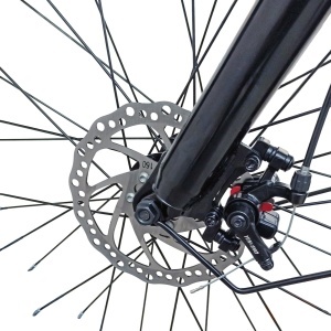 Tricicletă adulți BR Pro2025, 24", 7 viteze, frâne pe disc, cadru din oțel 15", negru - Img 13