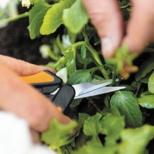 FISKARS Foarfeca pentru flori Fiskars Solid MicroTip SP13, 140 mm, 40 g - 1051600 - Img 11