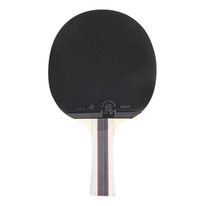 Paleta tenis de masa inSPORTline Shootfair S3