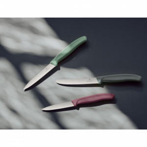 Set Victorinox pentru Bucatarie Special Edition 2020, 3 piese - 6.7116.L20 fara cutie