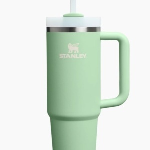 Cana termoizolanta Stanley The Quencher H2.O FlowState Tumbler 0.89L, Pistachio - 10-12551-152