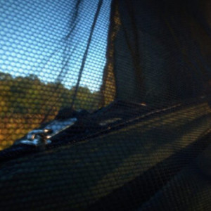 Hamac Bushmen Bushbed Olive - 5902194520676 4