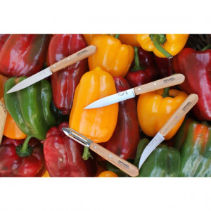 Set Opinel pentru Bucatarie, 4 piese - 001300 4