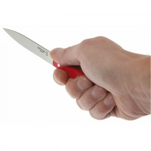 Set Opinel pentru Bucatarie, 4 piese manere Colorate - 001626 - Img 3