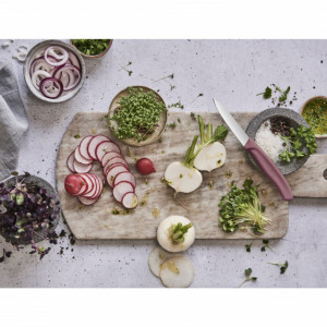 Set Victorinox pentru Bucatarie Special Edition 2020, 3 piese - 6.7116.L20 legume