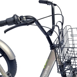 Tricicletă adulți BR Pro2025, 20", 7 viteze, frâne pe disc, cadru din oțel 15", negru - Img 5