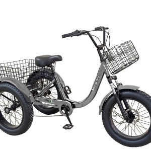 Tricicletă adulți BR Pro2025, 20", 7 viteze, frâne pe disc, cadru din oțel 15", gri - Img 2