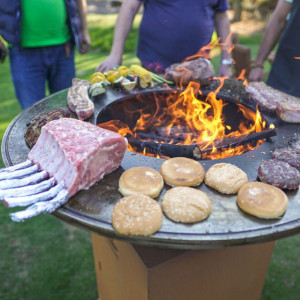 Grill Taranis Standard Plus 1