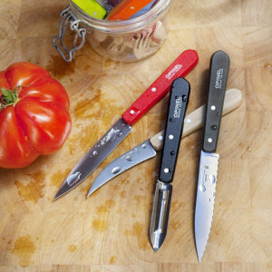 Set Opinel pentru Bucatarie, 4 piese manere Colorate - 001626 - Img 4