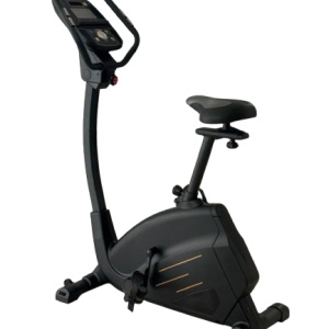 Bicicleta fitness KINGDOM SPORTS KS-5608M