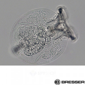 Microscop optic Bresser Science TRM 301 - 5760100 mostra studiata