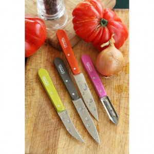 Set Opinel pentru Bucatarie, 4 piese manere Colorate - 001452 4