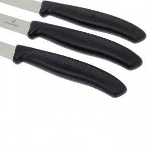 Set Victorinox pentru Bucatarie, 3 piese - 6.7113.3 manere