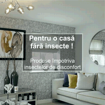 Insecticide