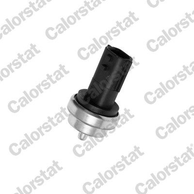 CALORSTAT by Vernet WS3019 Senzor, temperatura lichid de racire
