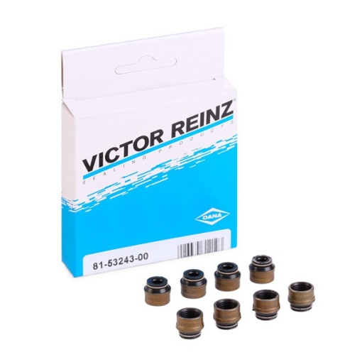REINZ 12-31306-07 Set garnituri, ax supape