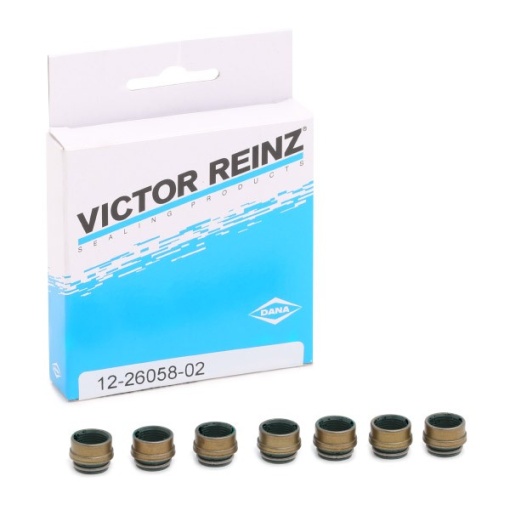 REINZ 12-26058-02 Set garnituri, ax supape