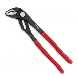 Cleste papagal 12 inch