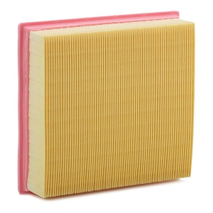MANN-FILTER C 20 106 Filtru aer - Img 3