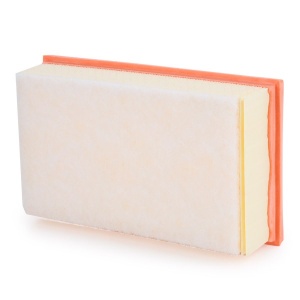 MANN-FILTER C 2485/1 Filtru aer pentru RENAULT CLIO - Img 2