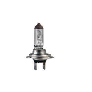 Bec Hella H7 24V 70W PX26d