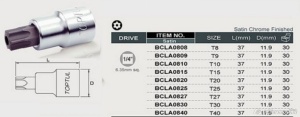 Bit stea T15