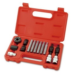 Kit demontare fulii alternator (13 buc)