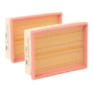 MANN-FILTER C 1955-2 Filtru aer - Img 2