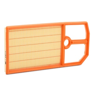 MANN-FILTER C 4287/2 Filtru aer - Img 2