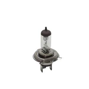 Bec Hella H4 24V 75/70W P43t-38