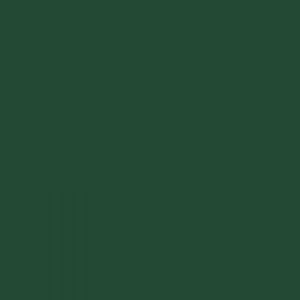 CSS Spray vopsea basecoat 400 ml - DACIA 51G VERDE INCHIS - Img 2
