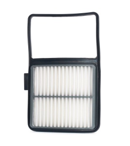 MANN-FILTER C 29 002 Filtru aer pentru Toyota Prius 2 - Img 2