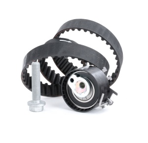 INA 530 0195 10 Set curea de distributie