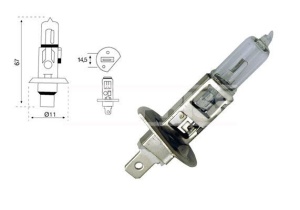 Bec Carpriss H1 24V 75W P14.5s