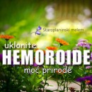 Staroplaninski melem za hemoroide