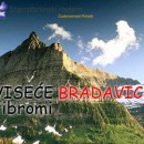 Staroplaninski melem za viseće bradavice (fibrome)