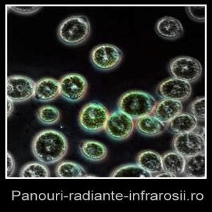Efectul Nanosilver, produs al Panourilor Radiante Sunjoy