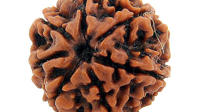 Ce e Rudraksha?