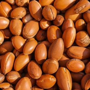 Argan
